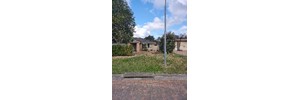 Photo of a tree, house and grass 