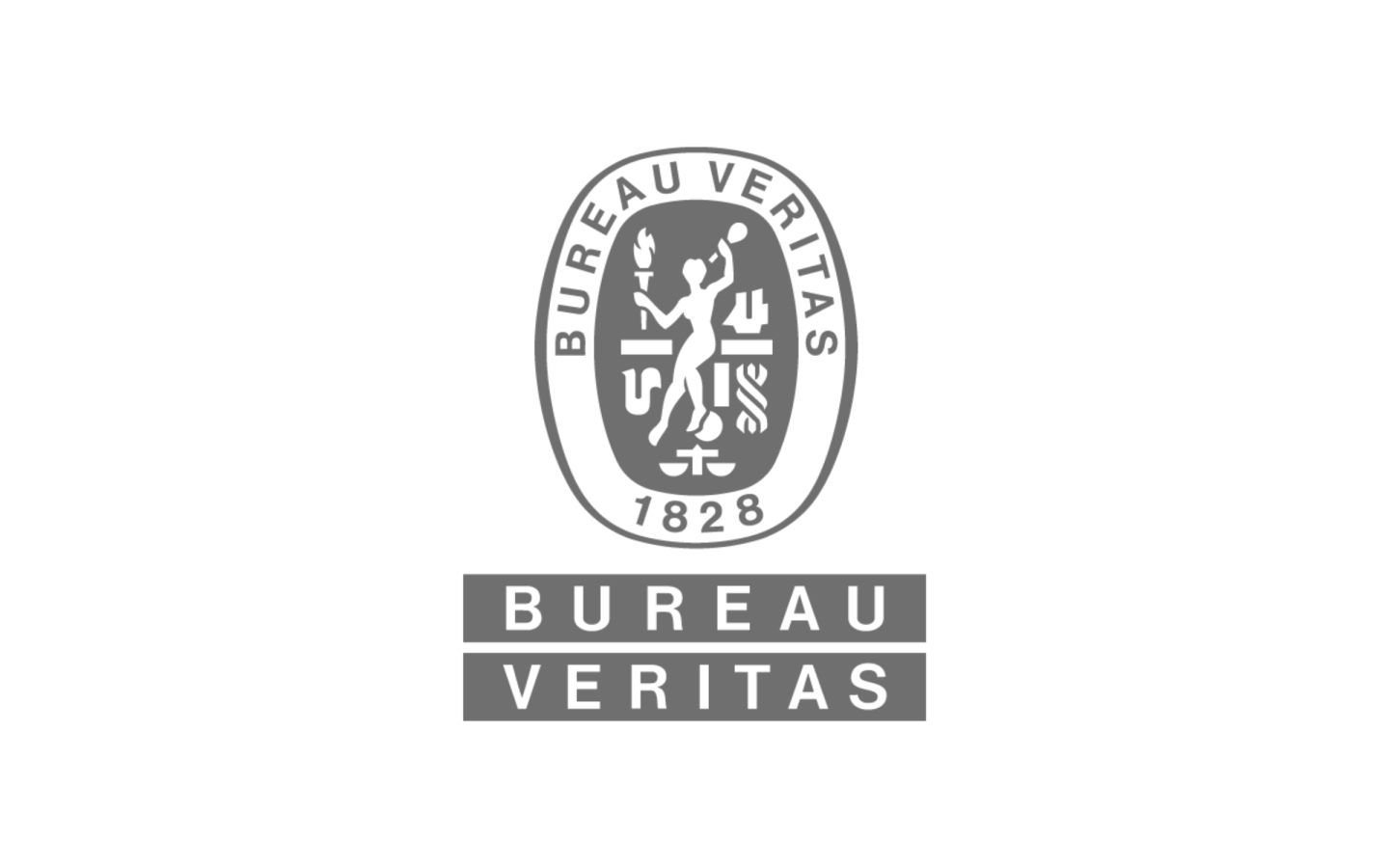 Bureau Veritas logo