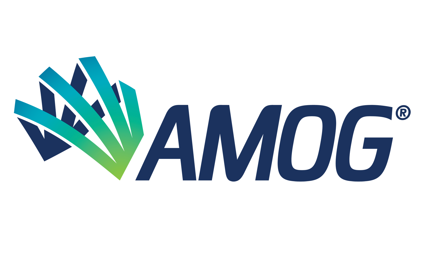 AMOG Pty Ltd logo