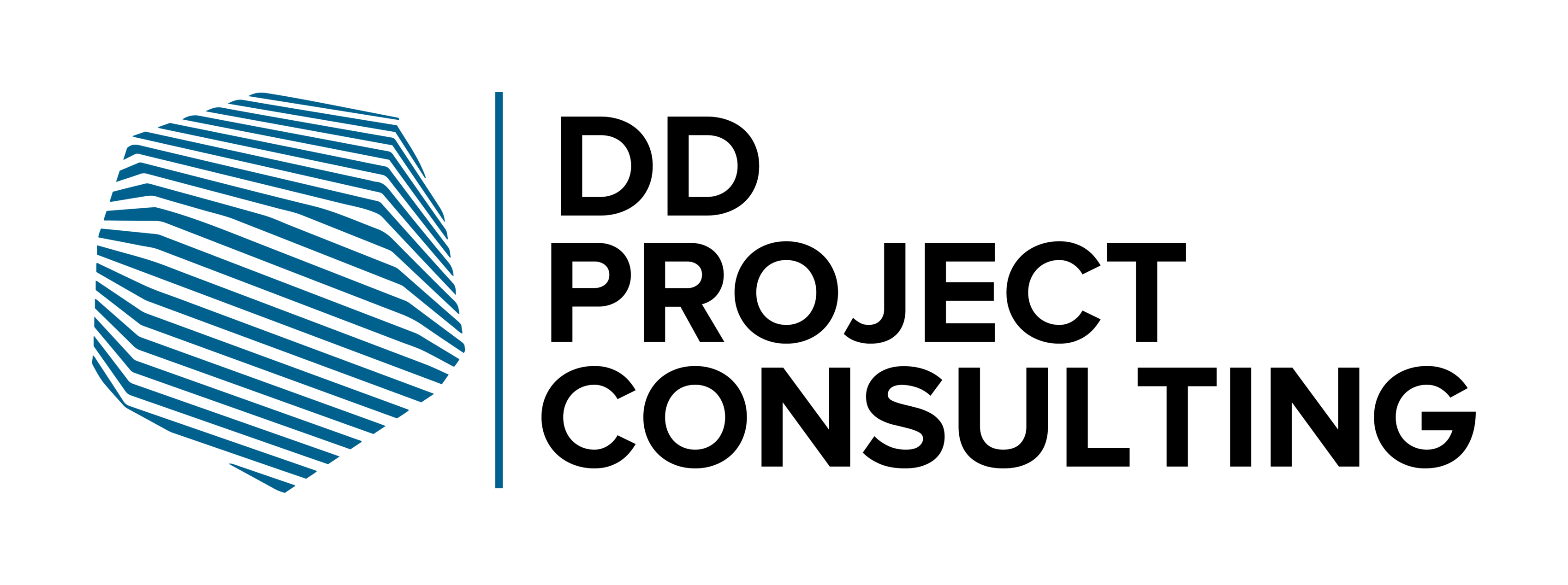 DD Project Consulting logo