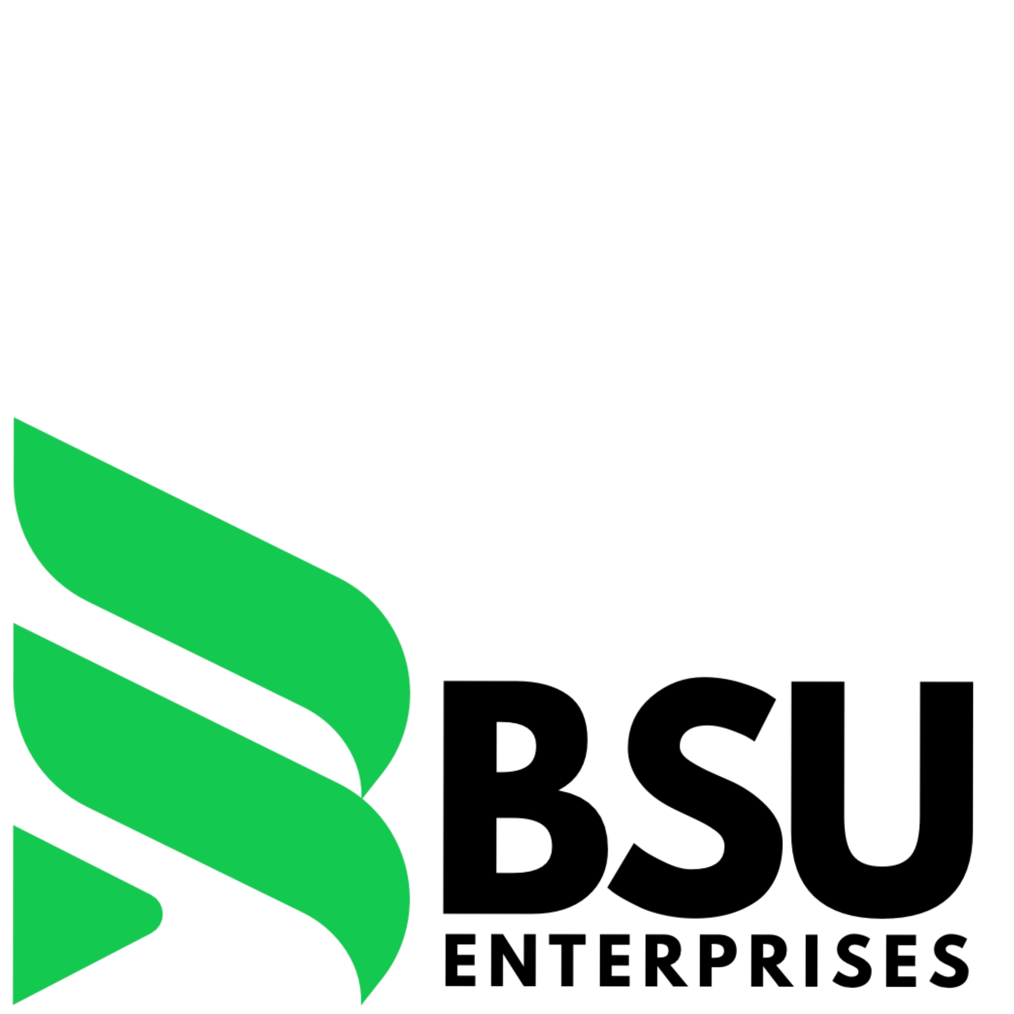BSU Enterprises Pty Ltd logo