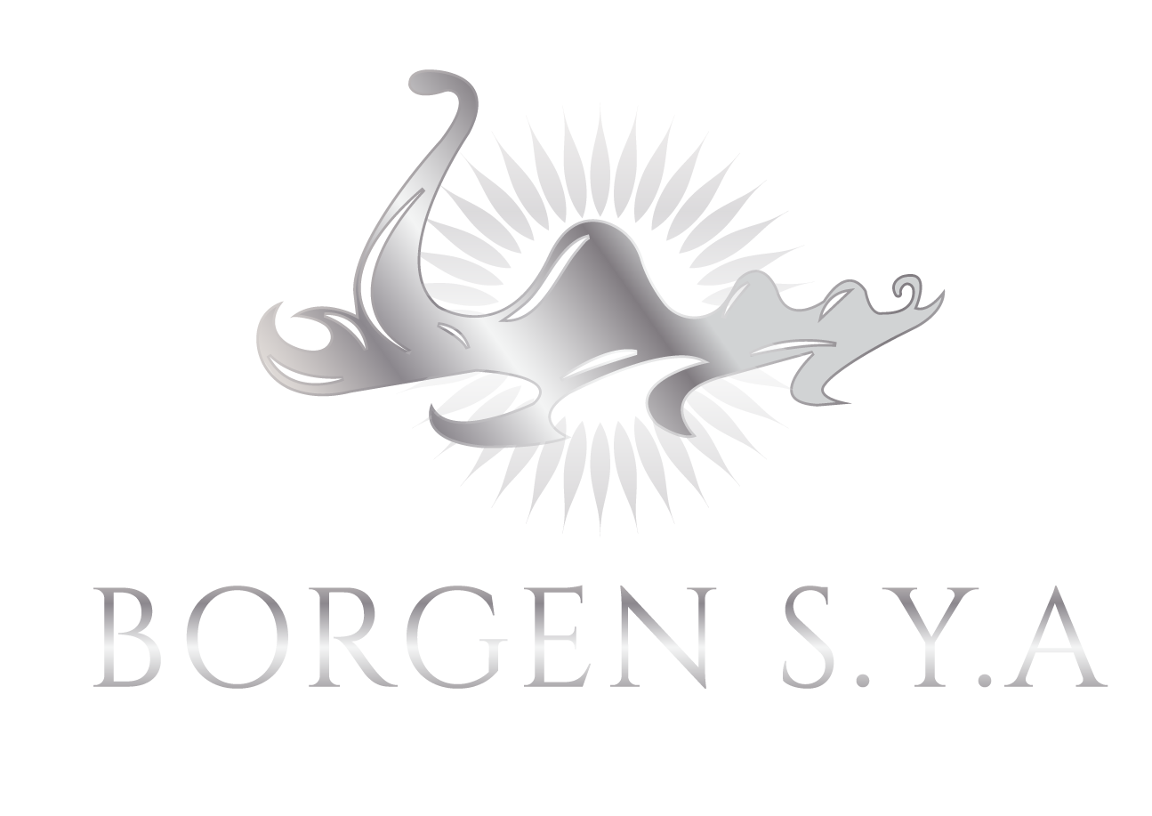 BORGEN S.Y.A PTY LTD logo
